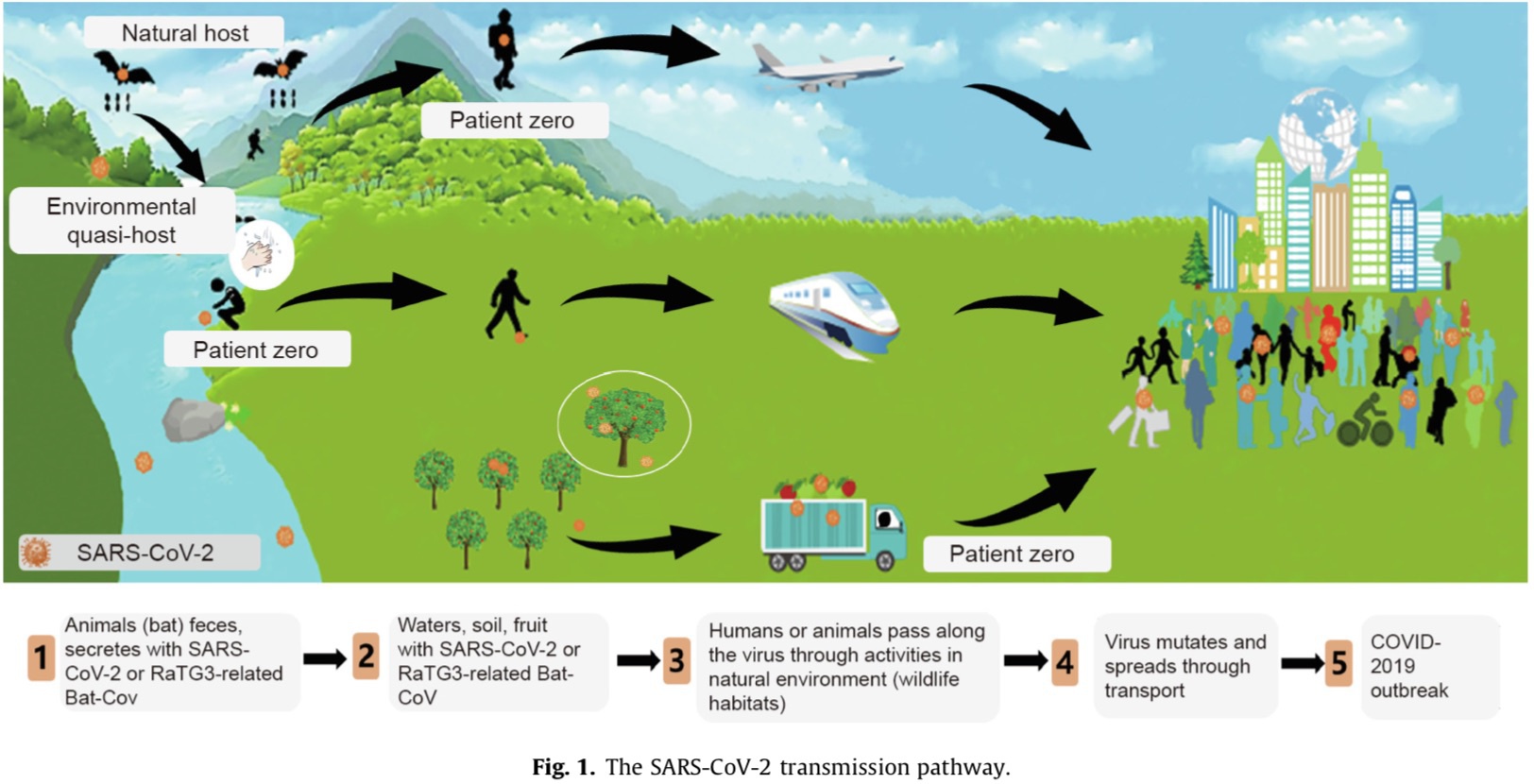 疫情暴发初期科学家肩负找出新冠病毒‘真凶’的重任